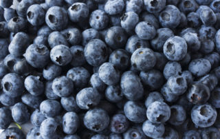 health benefits of blueberries close up of blueberries