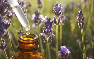 A bottle of essential oils with lavender in the background